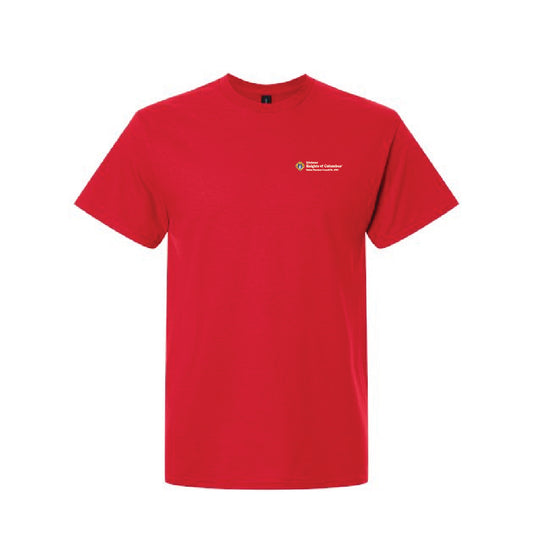 Unisex Heavy Cotton T-Shirt